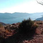 Diana * Tronzano Lago Maggiore